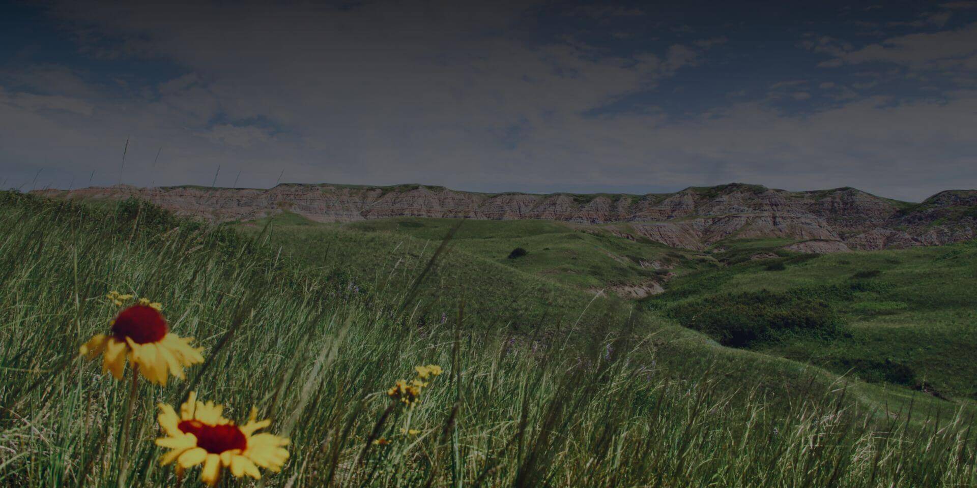 blackfoot-womans-empowerment-background-for-slide (1) (1)